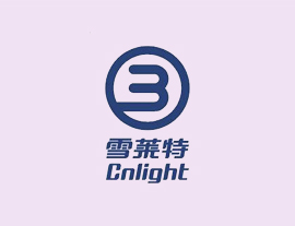 雪莱特(002076)产业并购基